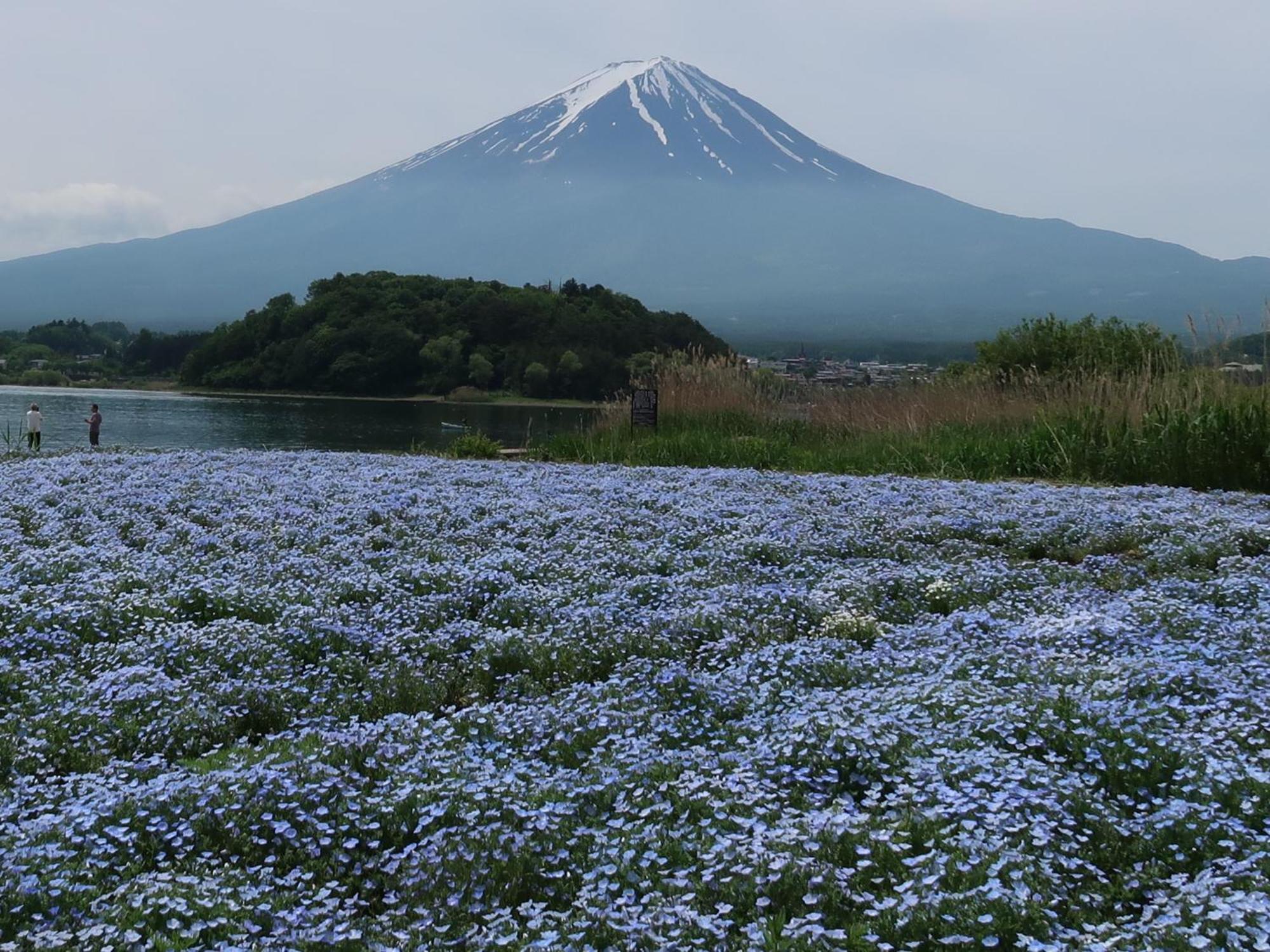 Вилла Kuranoyado Matsuya Фудзикавагутико Экстерьер фото
